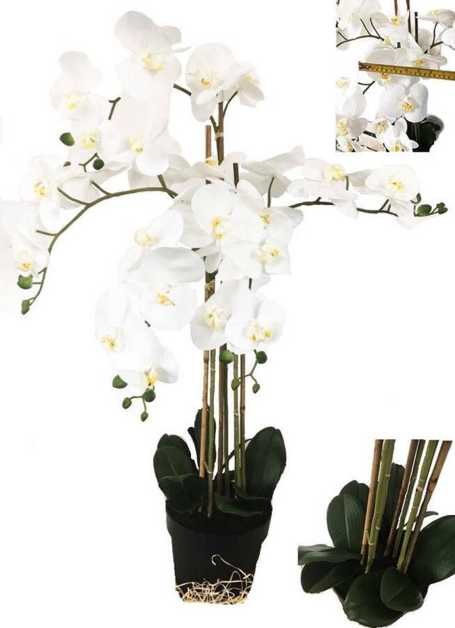 HEM Grote Levensechte Kunst Orchidee Phlaenopsis plant 100 cm met pot ( 5-taks vol bloemen) kleur Wit Kunstplant