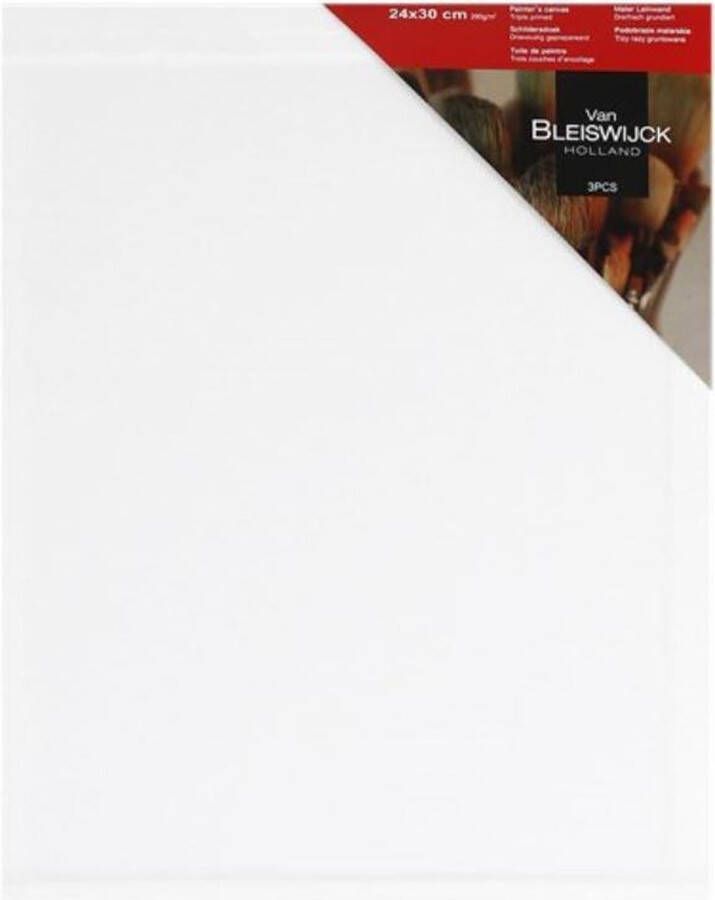 Van Bleiswijck schildersdoek 24 x 30 cm verven 3 pack 3 stuks